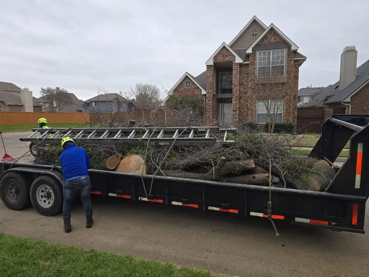 Expert Tree Pest Control with proper safety equipment in Vermontville